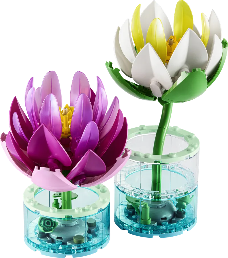 Water Lilies