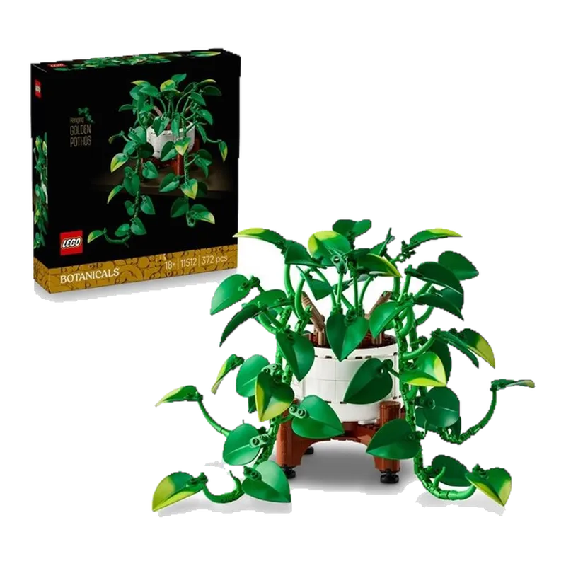 Hanging Golden Pothos