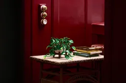LEGO Hanging Golden Pothos (11512) - Bild 13