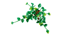 LEGO Hanging Golden Pothos (11512) - Bild 1