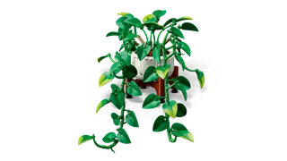 Hanging Golden Pothos från LEGO – produktbild 4 av 15