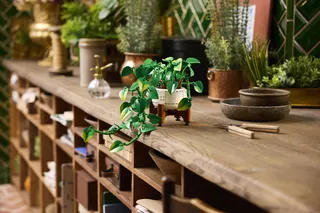 Hanging Golden Pothos från LEGO – produktbild 9 av 15