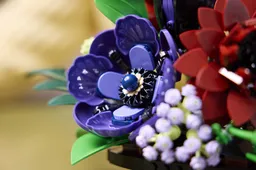 LEGO Dark Flower Arrangement (11513) - Bild 10