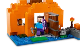 LEGO The Pumpkin Farm (21248) - image 3