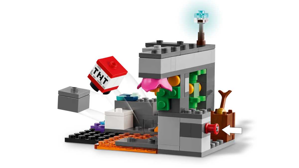 LEGO The Warden Encounter (21274) - Bild 3