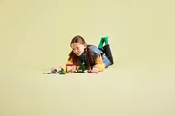 Het TNT junglehuis - Afbeelding 7 van 11