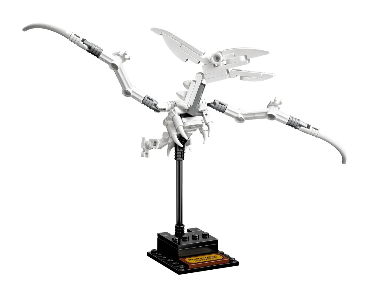 LEGO Dinosaur Fossils (21320) - Bild 9