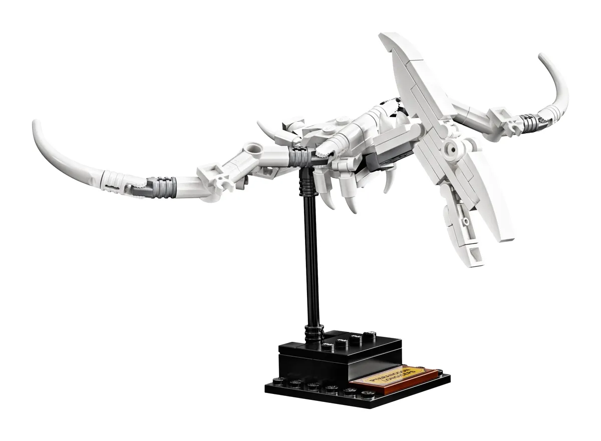 LEGO Dinosaur Fossils (21320) - Bild 10