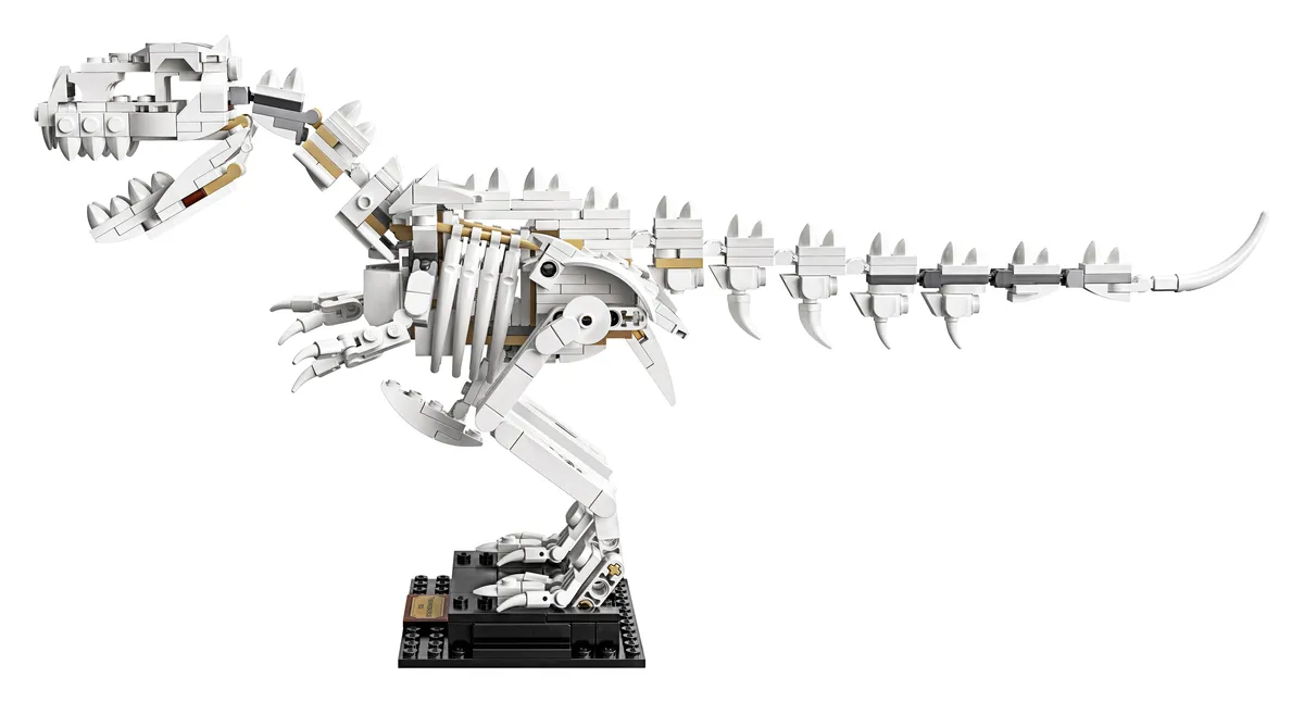LEGO Dinosaur Fossils (21320) - Bild 18
