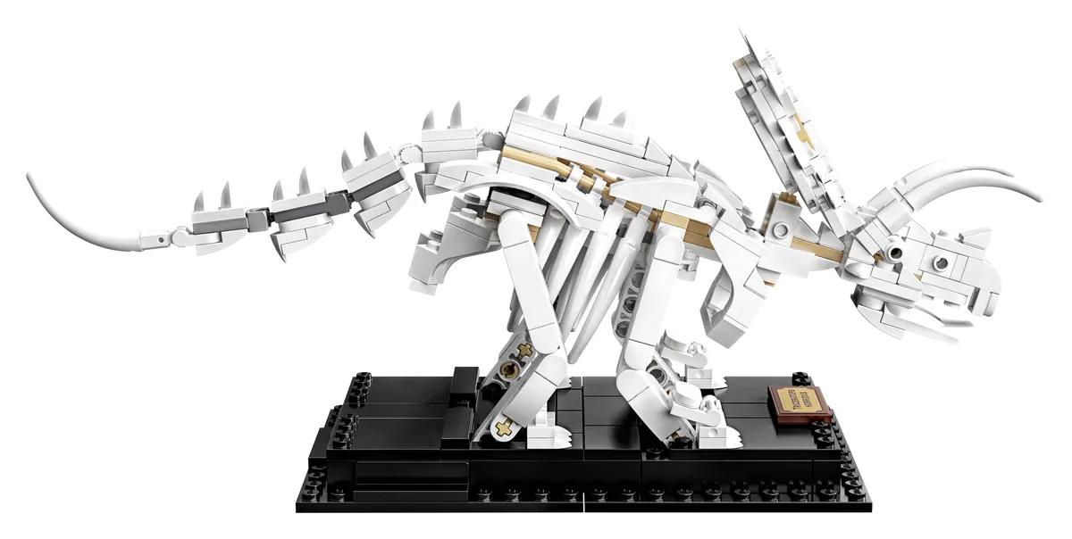 LEGO Dinosaur Fossils (21320) - Bild 19