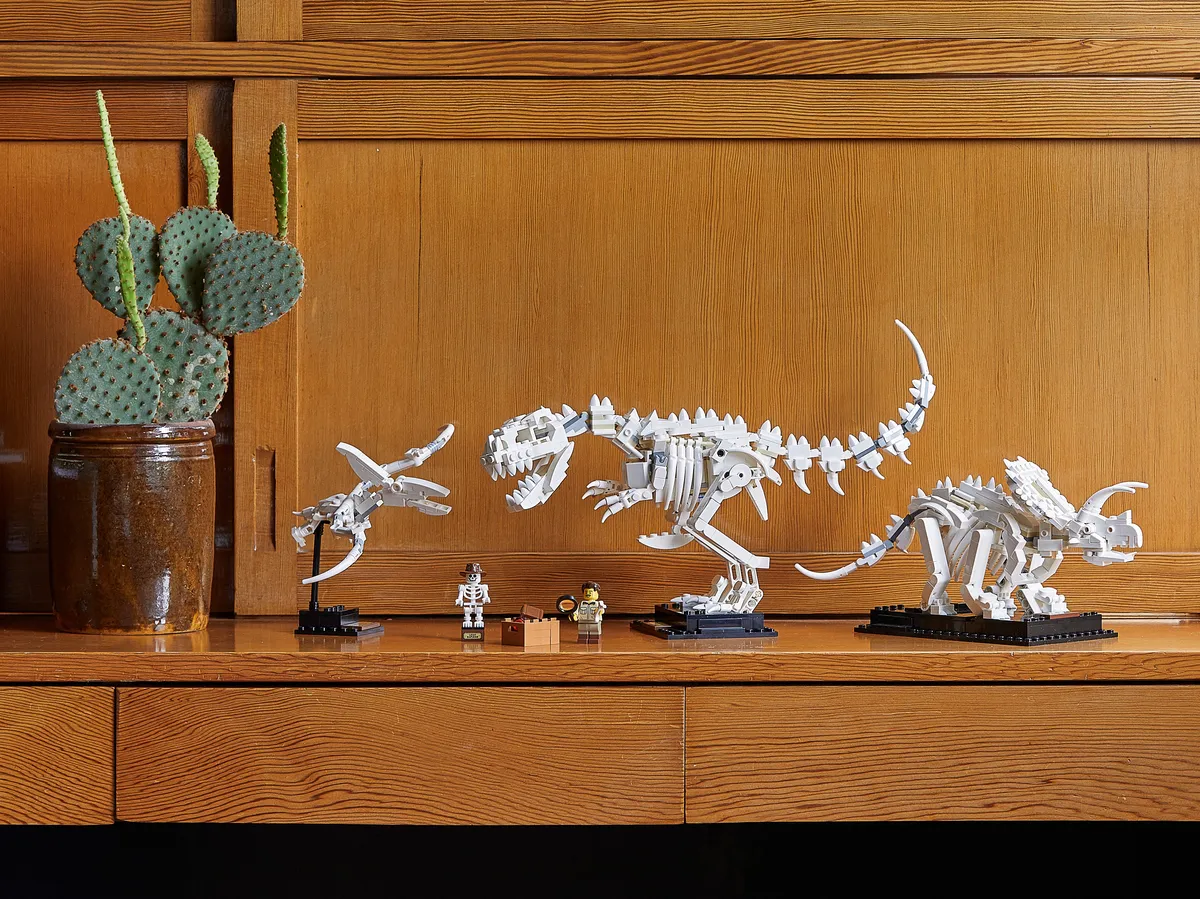 LEGO Dinosaur Fossils (21320) - Bild 25
