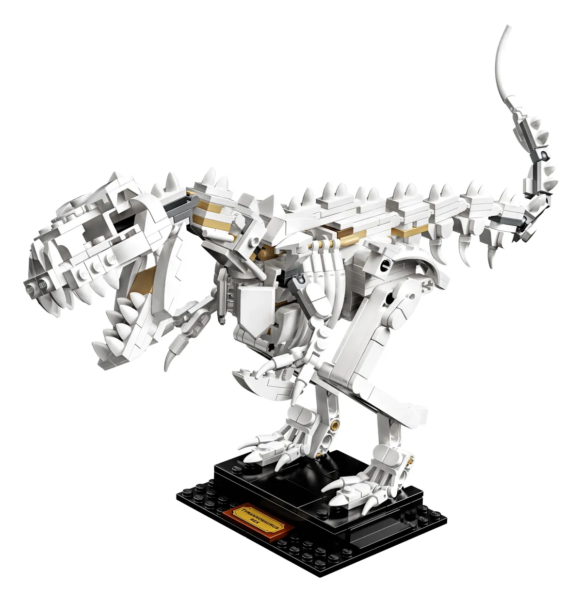 LEGO Dinosaur Fossils (21320) - Bild 2