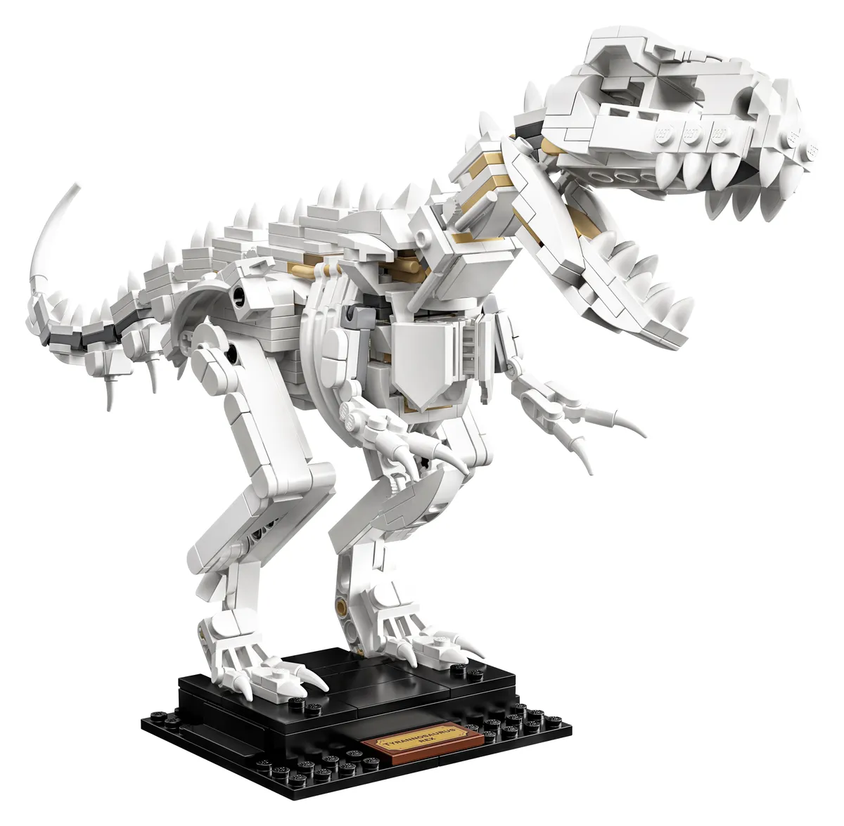 LEGO Dinosaur Fossils (21320) - Bild 3