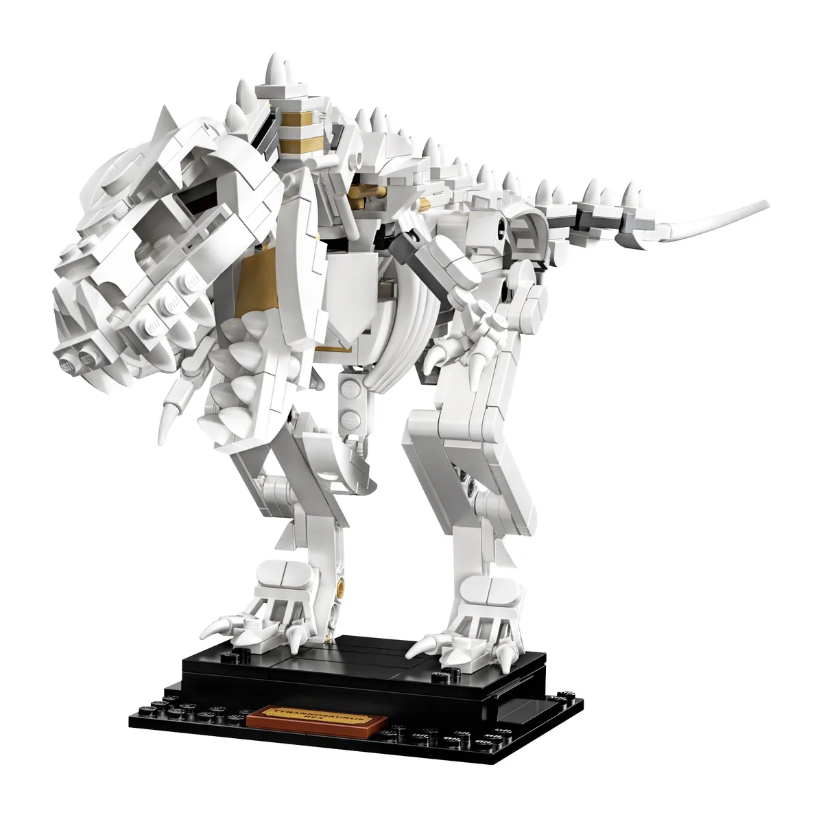 LEGO Dinosaur Fossils (21320) - Bild 4