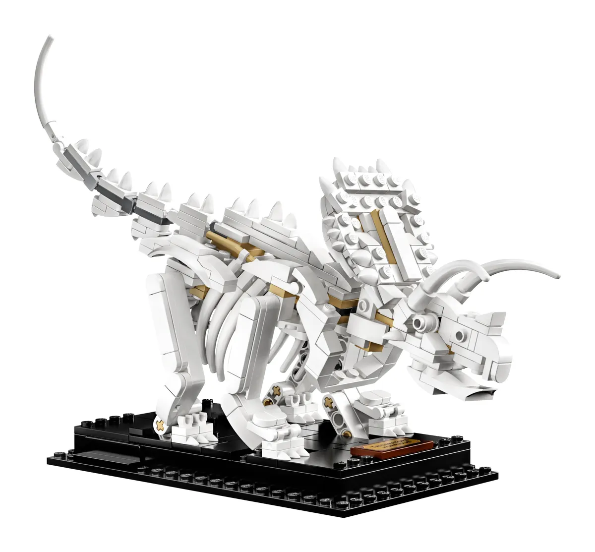LEGO Dinosaur Fossils (21320) - Bild 5