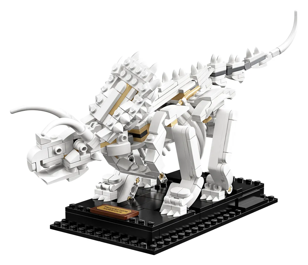 LEGO Dinosaur Fossils (21320) - Bild 6