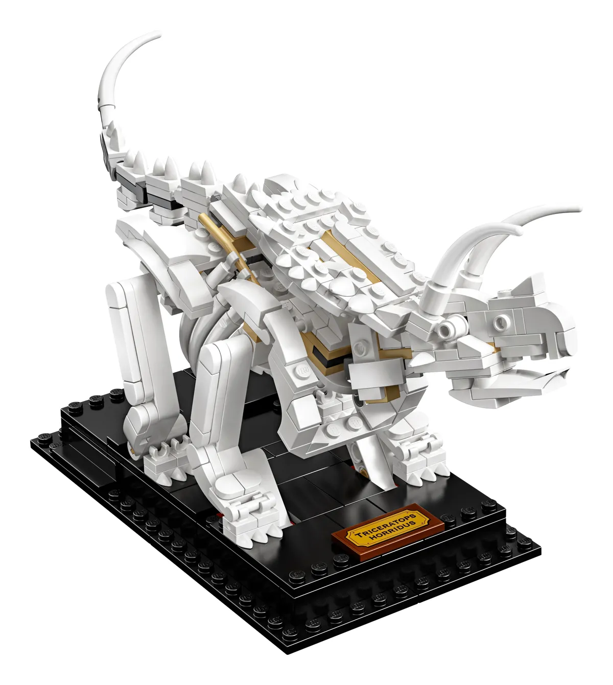 LEGO Dinosaur Fossils (21320) - Bild 7