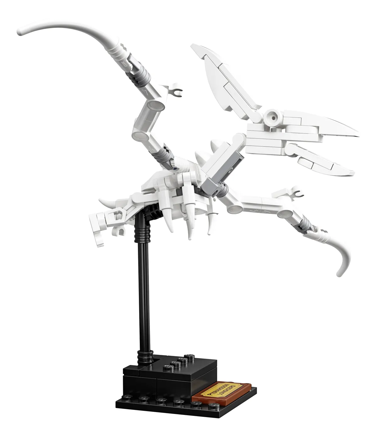LEGO Dinosaur Fossils (21320) - Bild 8