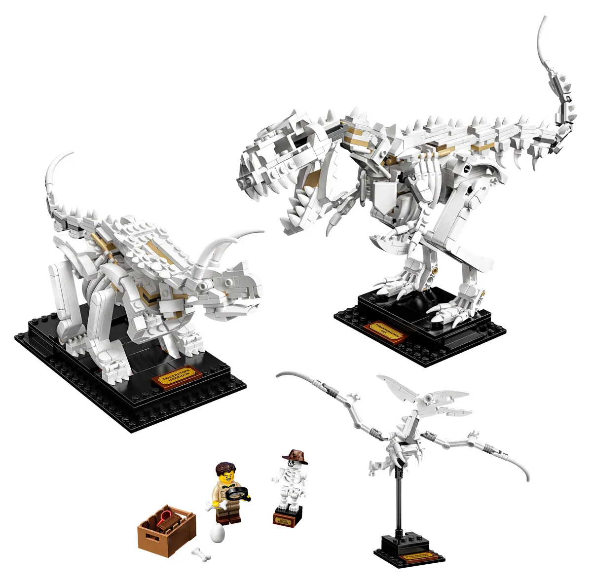 LEGO Dinosaur Fossils (21320)