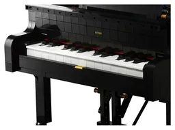 LEGO Grand Piano (21323) - afbeelding 12