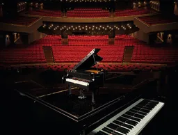LEGO Grand Piano (21323) - afbeelding 14