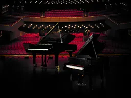 LEGO Grand Piano (21323) - afbeelding 17