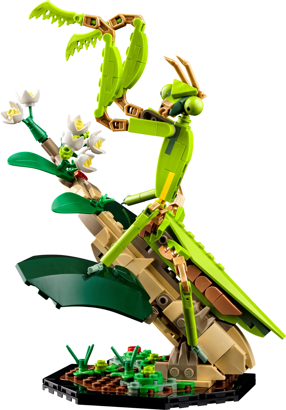 LEGO The Insect Collection (21342) - Bild 3