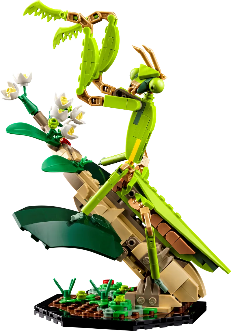 The Insect Collection by LEGO – product photo 4 of 10