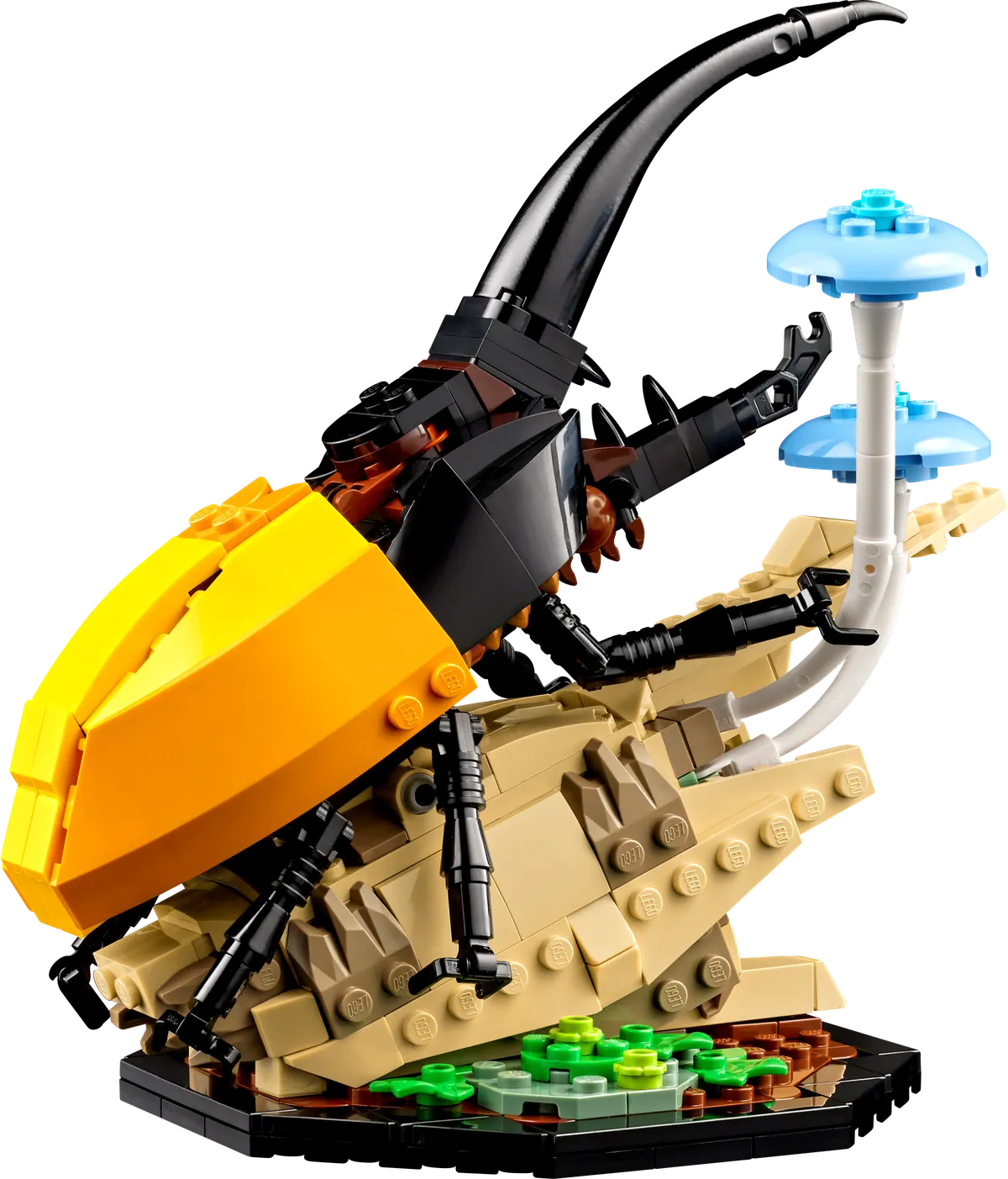 LEGO The Insect Collection (21342) - Bild 4