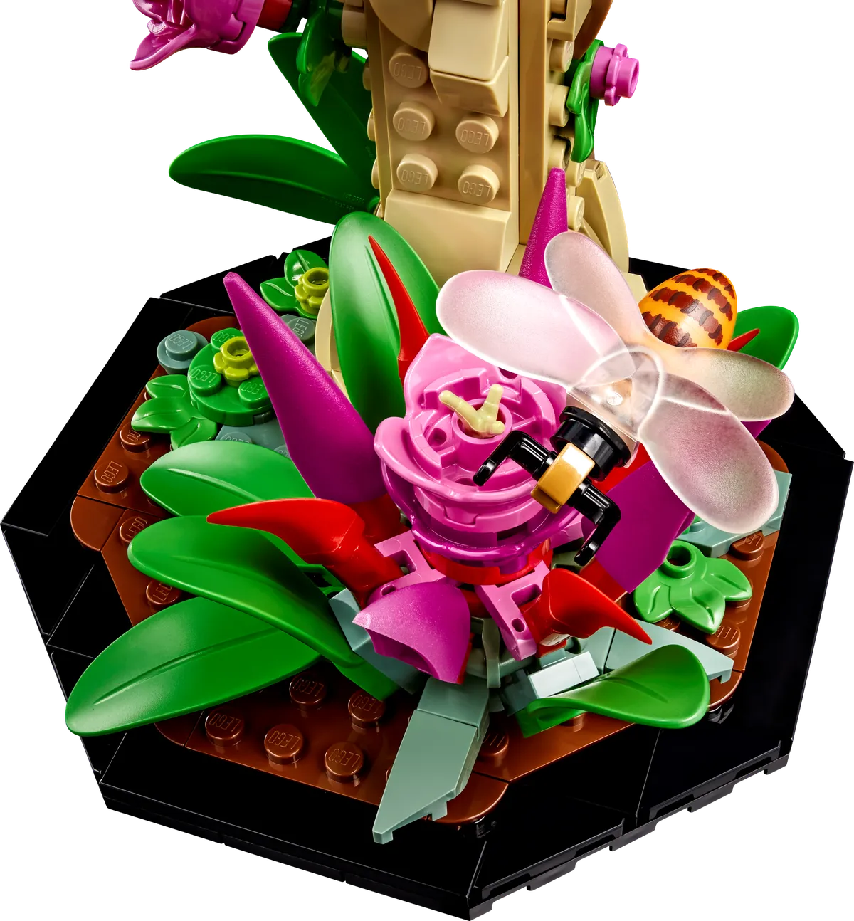 LEGO The Insect Collection (21342) - Bild 5