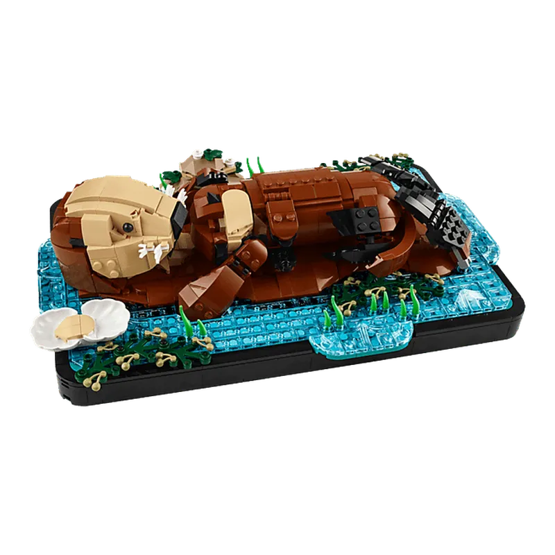 Floating Sea Otters