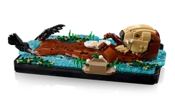 LEGO Floating Sea Otters (21366) - afbeelding 5
