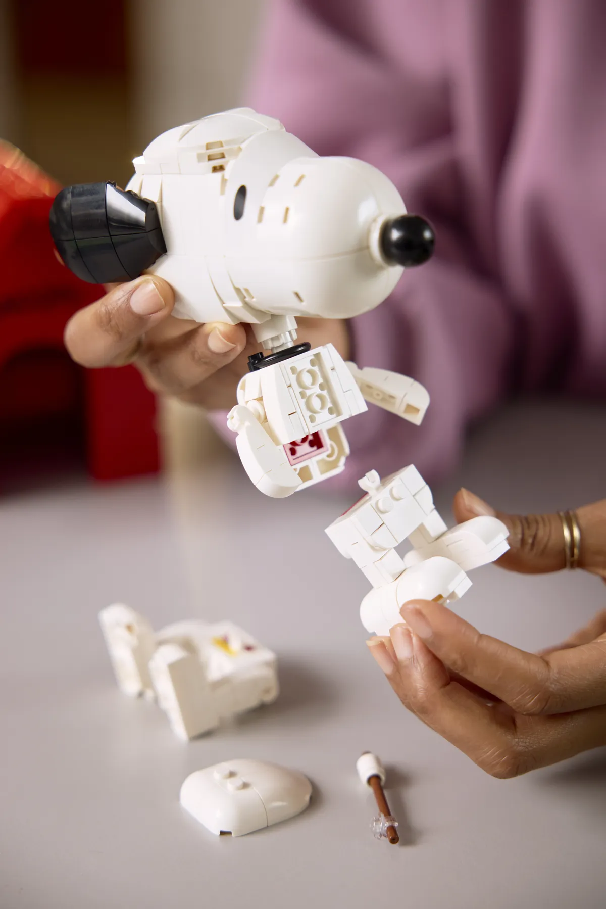 LEGO Peanuts: Snoopy's Doghouse (21368) - Bild 10