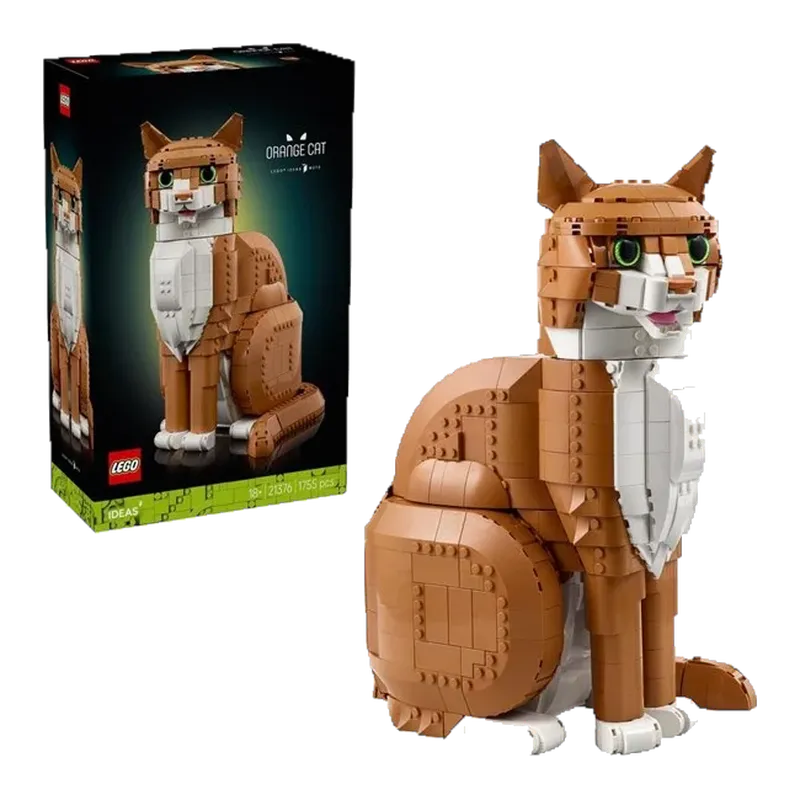 Orange Cat