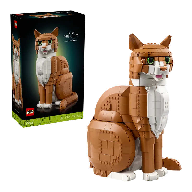 Orange Cat