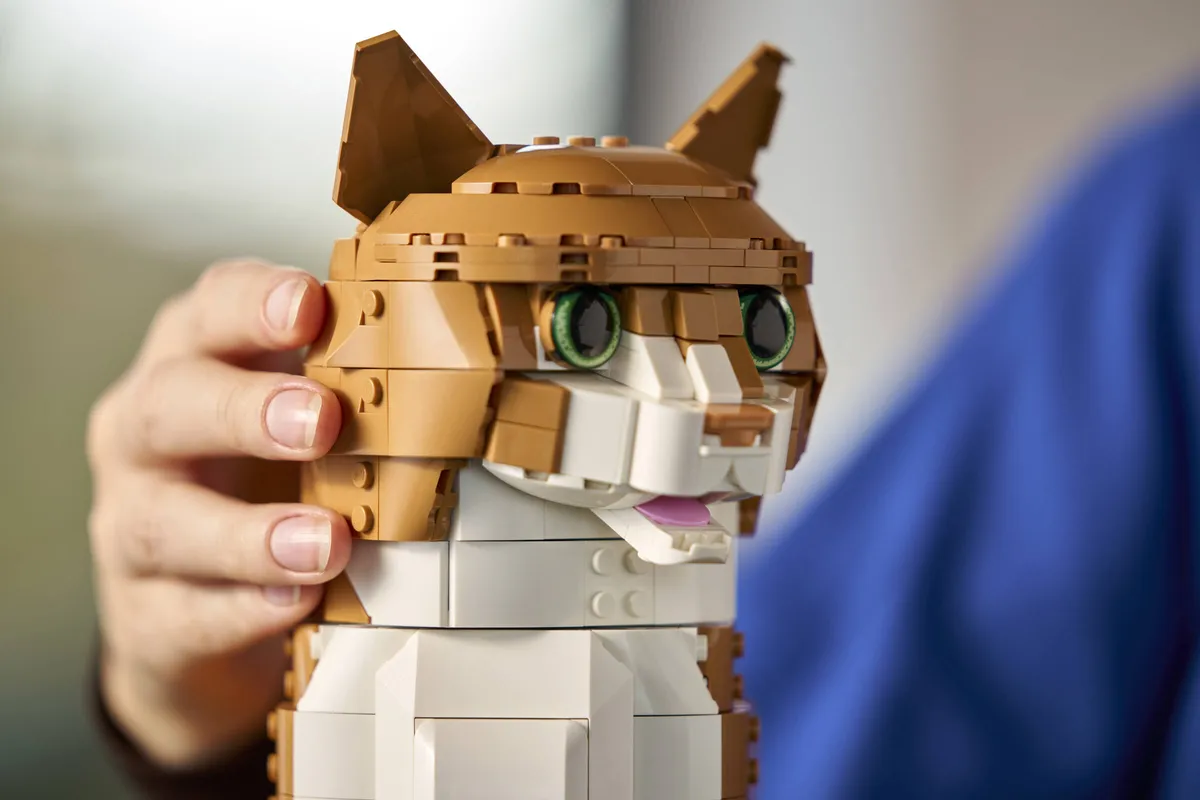 LEGO Orange Cat (21376) - image 10