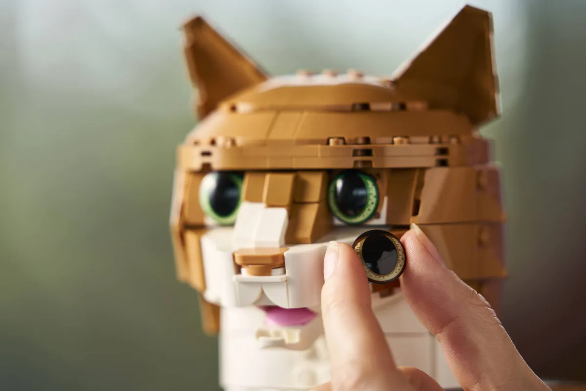 LEGO Orange Cat (21376) - image 11