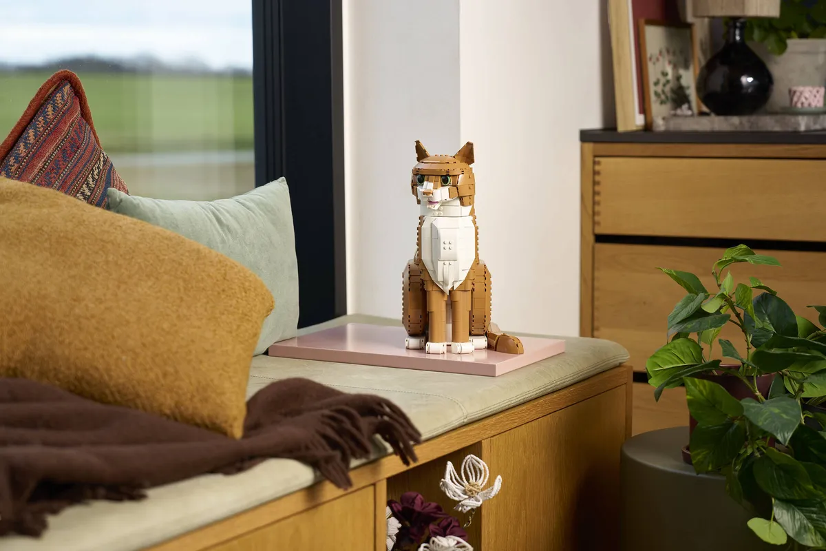 LEGO Orange Cat (21376) - image 12