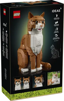 LEGO Orange Cat (21376) - afbeelding 14