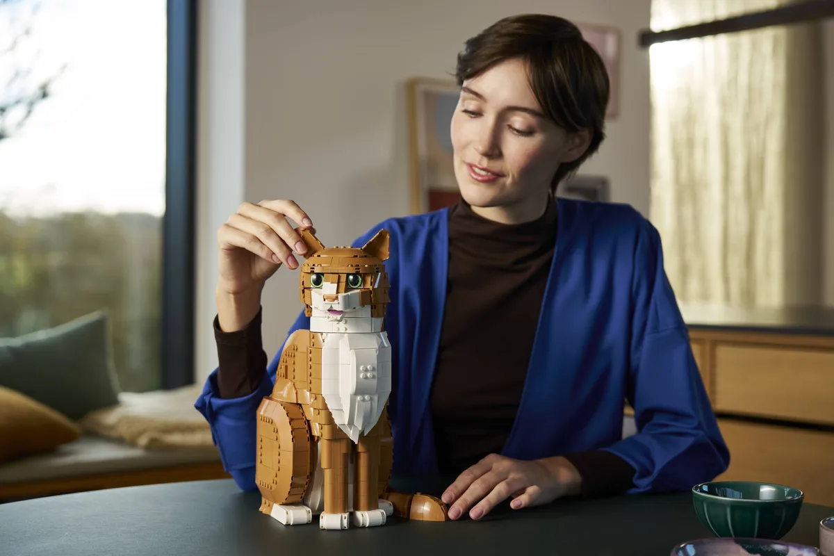 LEGO Orange Cat (21376) - image 7
