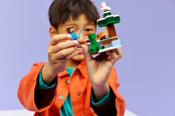 LEGO Steve's Taiga Adventure (21583) - afbeelding 3