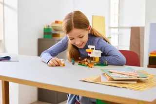 Kippenboerderij van LEGO – productfoto 8 van 12