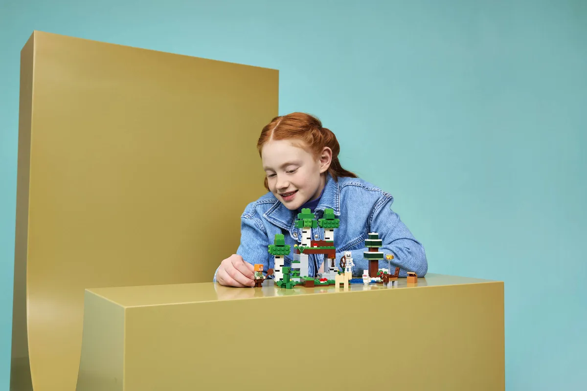 LEGO First Night Adventure (21593) - Bild 9