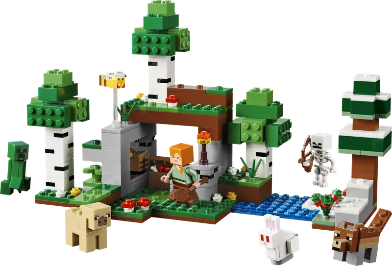 LEGO 21593 First Night Adventure, 301 stenen
