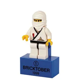 LEGO Ninja Princess (2856223)