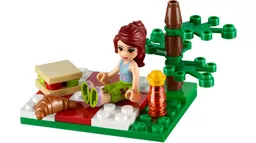 LEGO Summer Picnic (30108)