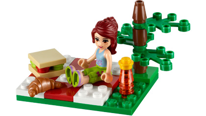 Summer Picnic