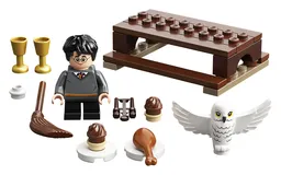 LEGO Harry Potter™ and Hedwig™: Owl Delivery (30420)