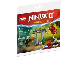 LEGO Kai and Rapton's Temple Battle (30650) - image 1