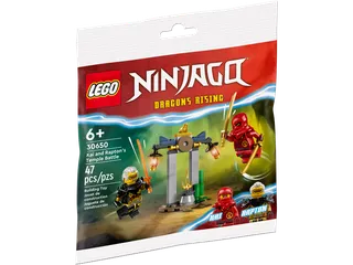 Kai and Rapton's Temple Battle de LEGO – photo du produit 2 sur 3
